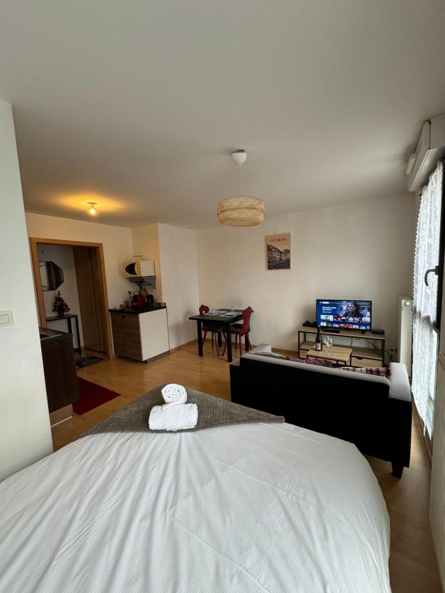 Apartament Le "Petit Colmarien" A 1Mn Du Centre Zewnętrze zdjęcie