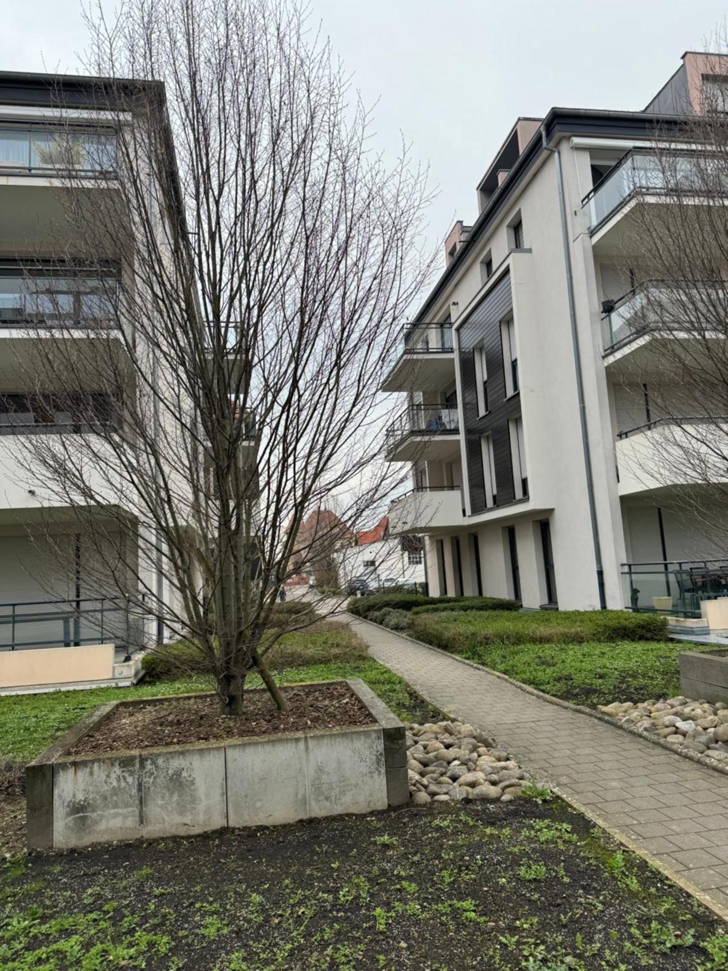 Apartament Le "Petit Colmarien" A 1Mn Du Centre Zewnętrze zdjęcie